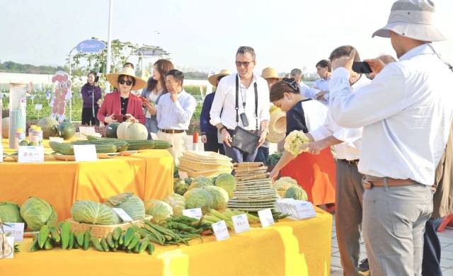广州白云分会场展示超600个新优特色品种，吸引全国各省及马来西亚等国业内人士到场参观交流。