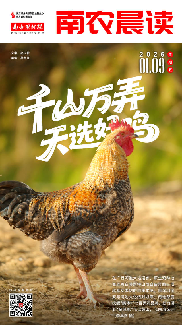 南方农村报 杨娉婧 制图