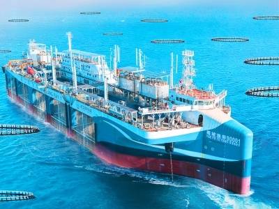 向海图强启新程！“十五五”开好局，鲜美湛江擘画“一核四圈”蓝色宏图