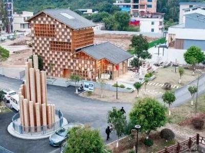 河源市委书记：科技赋能，用绿增富｜市委书记抓乡村振兴2025年度盘点