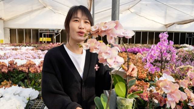 朱慧茹介绍网红款 “彩虹独角兽”。