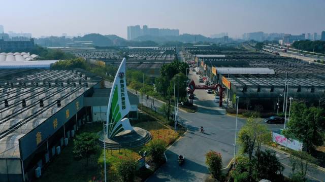 南海花卉博览园。