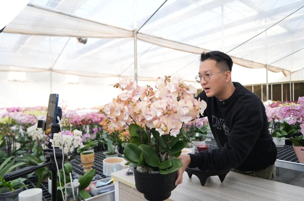 免费网上教学直播系统