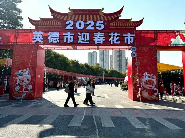 2025清远英德迎春花市。资料图