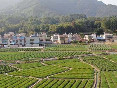 “百千万工程”如何落地？翁源官渡镇给出“三宜”示范镇答案