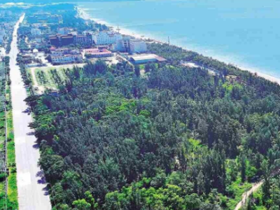 山海入剧 乡野生金