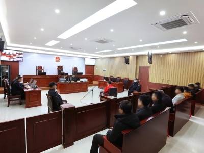 庭审旁听敲警钟！鹤山公检法联动织密酒驾防控网