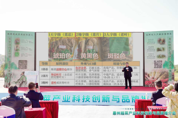 宋苏轼推“天地人”分级及“九叠篆”防伪