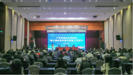 大会现场。（杨锦帆 摄）