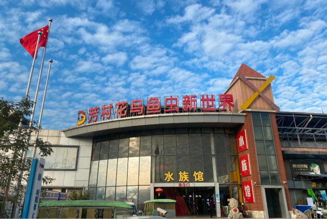 芳村花鸟鱼虫新世界从诞生之初，便自带广州观赏鱼贸易最厚重的历史底色与产业责任。图源：芳村花鸟鱼虫新世界