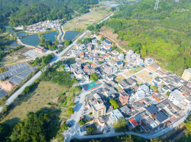 龙甫镇美丽乡村。