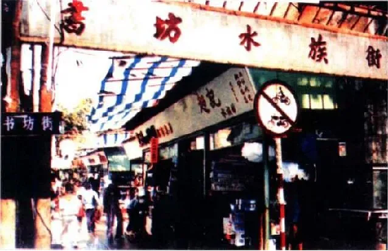 20世纪80年代，芳村书坊水族街是名噪一时的珠三角观赏鱼集中地。图源：越秀区志