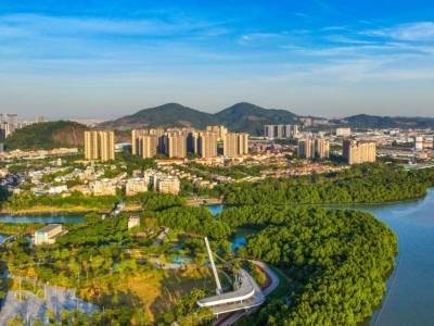 新落户享惠企业创造营收超500亿！南沙三大国家级政策红利全面释放