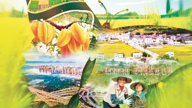 以“头号力度”破解“最大短板”——广东“百千万工程”三周年十问