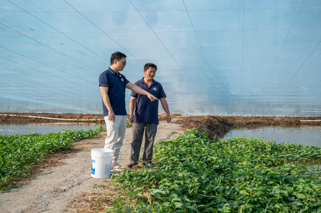 叶振彪站在堤埂上嘱咐工人注意事项。
