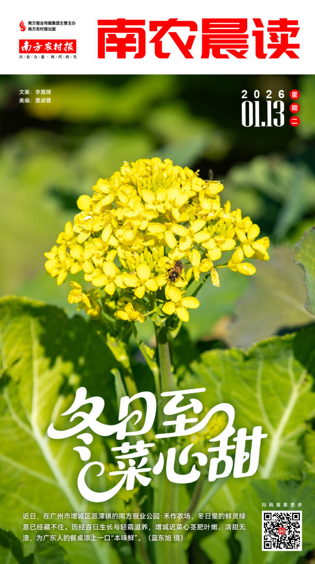 南方农村报 巢芮 制图