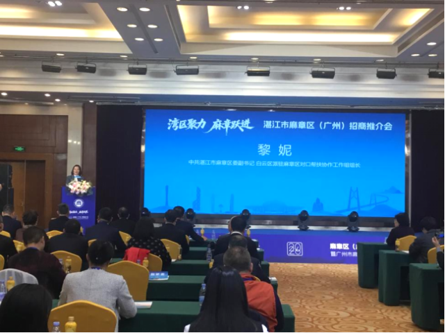 麻章区委副书记、白云区派驻麻章区对口帮扶协作工作组组长黎妮主持