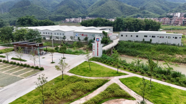 位于洲仔镇的广宁县肉鸽产业示范养殖基地。