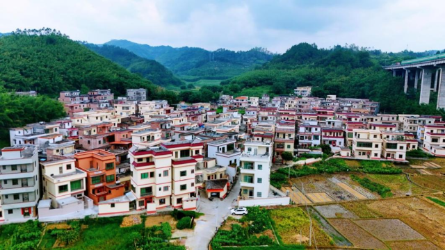 仓丰村农房外立面风貌提升。