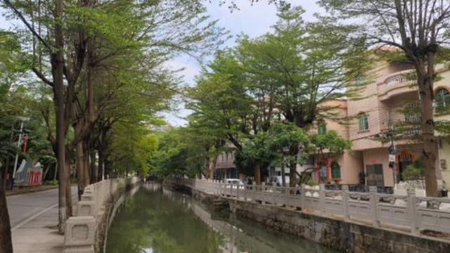 宝裕村：以花兴农促旅，“拼”出幸福家园∣百千万 横栏范