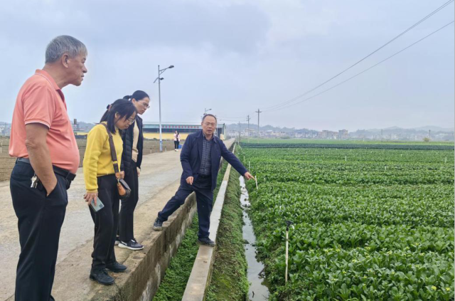 省农科院科技服务团队专家罗剑宁（右一）在田间查看作物长势。