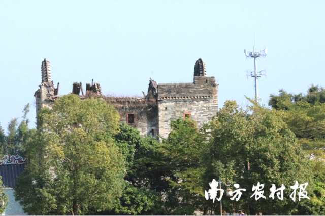 广州市增城区中新镇五联村