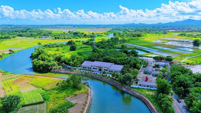 阳东区新洲镇表竹村