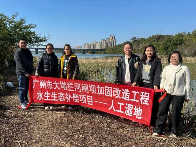 广州市大坳拦河闸坝加固改造工程水生生态补偿项目-人工湿地