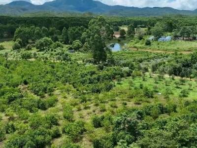 植树超150万株！汕尾乡村绿化交出亮眼成绩单