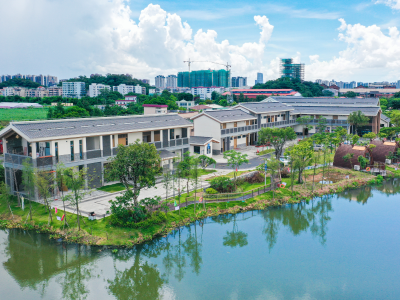 旧貌焕新·城乡蝶变