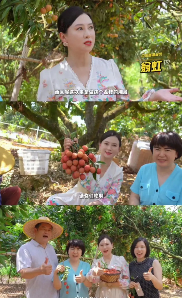 翁虹带货茂名荔枝。