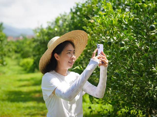 “贡柑妹妹”陈慧。