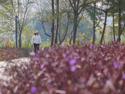 图集｜休闲新去处！中山沙咀生态公园对外开放