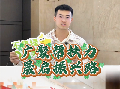 视频 | “广聚帮扶力  晟启振兴路”消费帮扶主题市集热闹开市