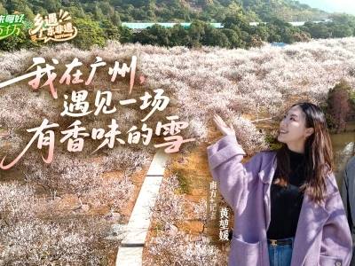 我在广州，遇见一场有香味的雪｜粤来粤好百千万