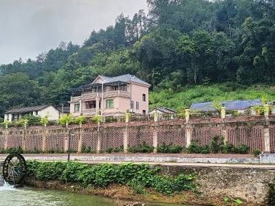 护权益促发展优环境 大埔县全力打造妇儿“暖心城”