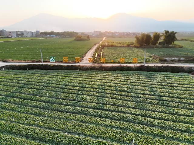 深农农场怀集基地