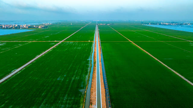 雷州半岛灌区工程可研报告获批，千亿建成后将跻身华南第一大灌区。元广