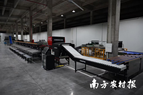 位于陆丰星都开发区的甘薯商品化处理中心即将投产。  