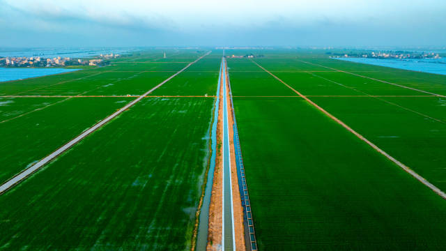 雷州半岛灌区工程可研报告获批，建成后将跻身华南第一大灌区。