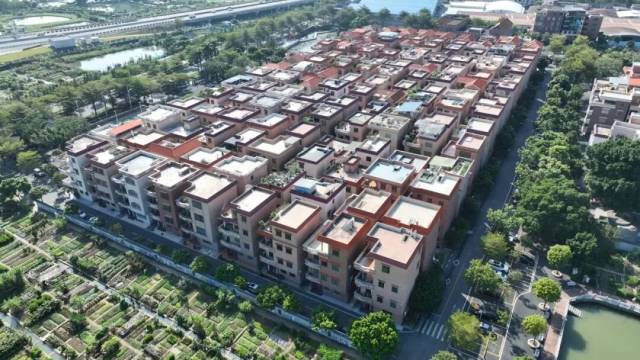 2024年，南庄村迈入佛山“亿元村”队列。图/佛山市新闻传媒中心