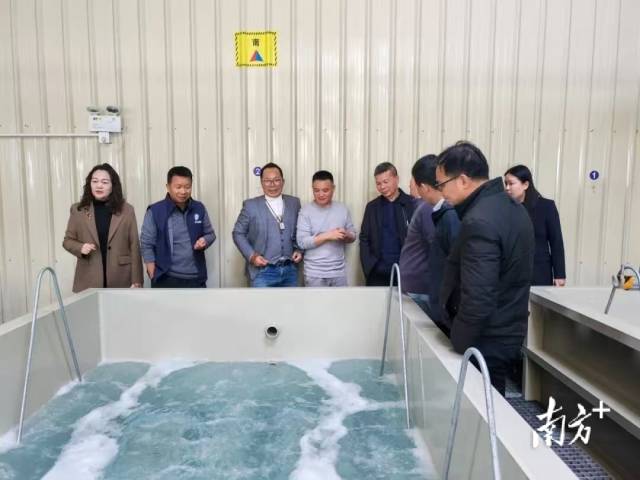 江门九三学社专家在卢子策公司项目调研。