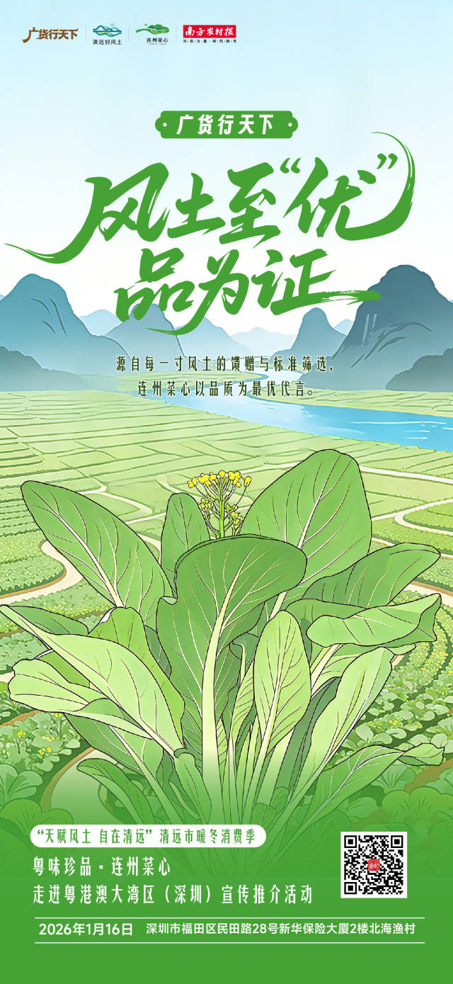 海报｜粤味珍品·连州菜心