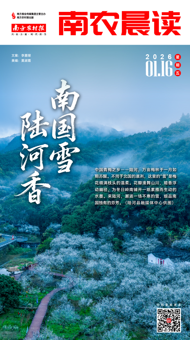 南方农村报 巢芮 制图