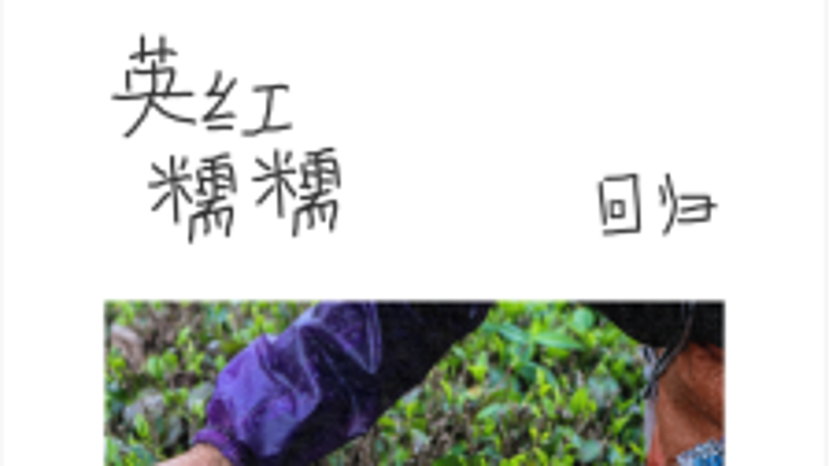 喜茶人气回归「英红糯糯」，一年连推5款英德红茶产品