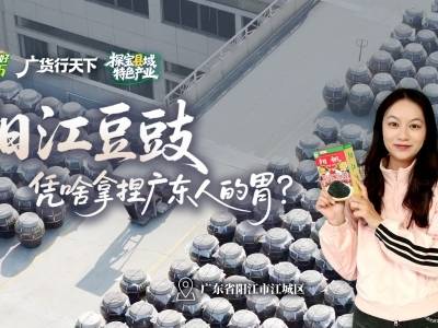阳江豆豉，如何拿捏广东人的胃？| 粤来粤好百千万