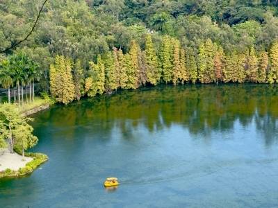 顶压前行、稳中有进！肇庆度过“不平凡的一年”