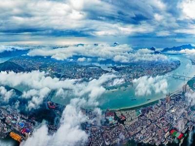 划重点！全会报告这些关键词，指明今年肇庆发展方向