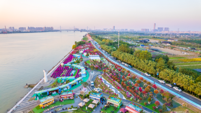 三沙村：“花乡”盛景映初心，绘就“富村”新样本｜百千万 横栏范