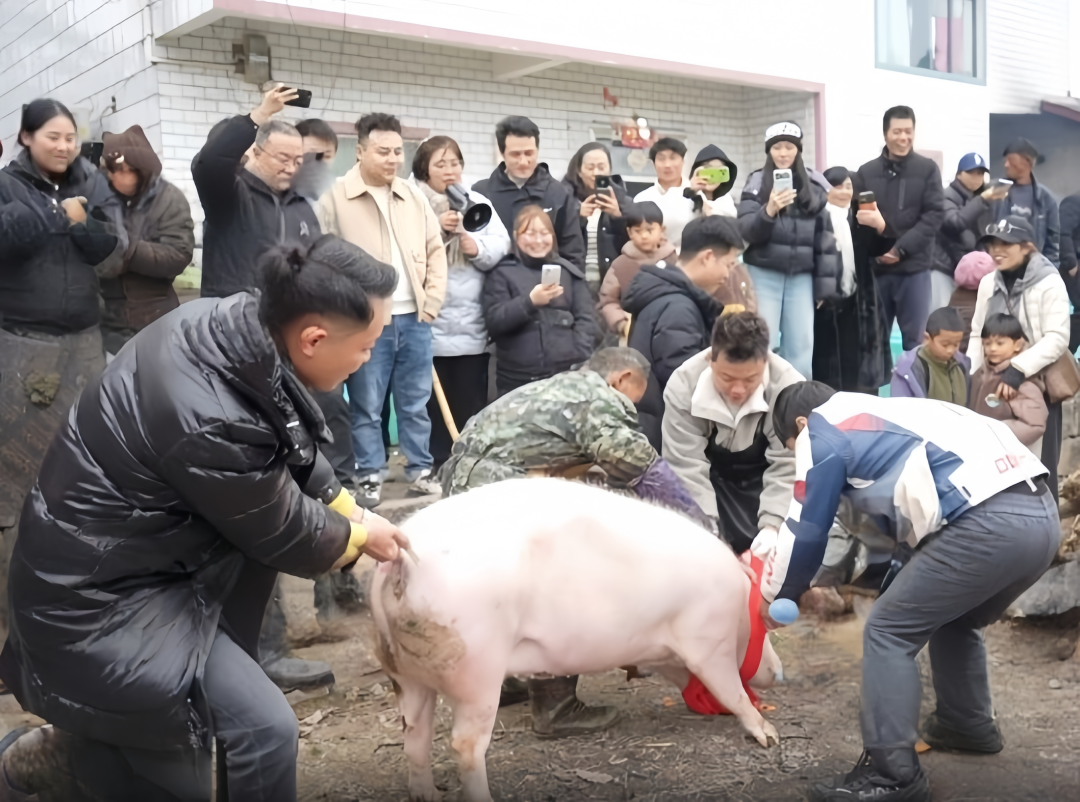 头啖汤评论：一场杀猪宴，唤醒人间烟火的暖意